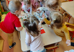 "Zielony ogródek parapetowy' - projekt edukacyjny w grupie IX