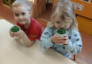 "Zielony ogródek parapetowy' - projekt edukacyjny w grupie IX