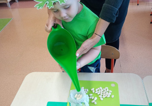 "Zielony ogródek parapetowy' - projekt edukacyjny w grupie IX