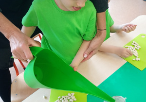 "Zielony ogródek parapetowy' - projekt edukacyjny w grupie IX