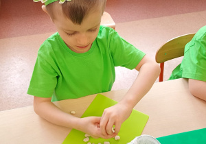 "Zielony ogródek parapetowy' - projekt edukacyjny w grupie IX