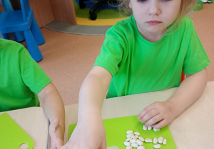 "Zielony ogródek parapetowy' - projekt edukacyjny w grupie IX