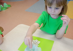 "Zielony ogródek parapetowy' - projekt edukacyjny w grupie IX