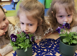 „Pierwsze wiosenne kwiatki” – sensorycznie i artystycznie w grupie I maluszków