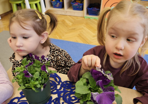 „Pierwsze wiosenne kwiatki” – sensorycznie i artystycznie w grupie I maluszków