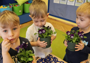 „Pierwsze wiosenne kwiatki” – sensorycznie i artystycznie w grupie I maluszków