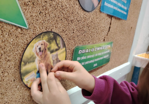 Dzień Ziemi w grupie II