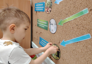 Dzień Ziemi w grupie II