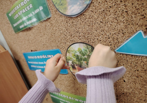 Dzień Ziemi w grupie II