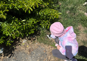 Udział w XI edycji #SprzątamyDlaPolski