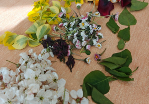 „W świecie książek”- czyli Światowy Dzień Książki w grupie II