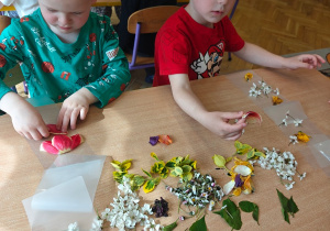 „W świecie książek”- czyli Światowy Dzień Książki w grupie II