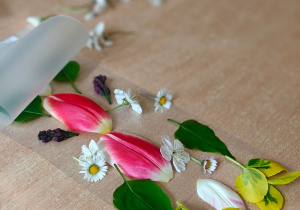 „W świecie książek”- czyli Światowy Dzień Książki w grupie II