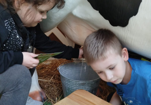 „Nauka przez zabawę – od pola do stołu” – zajęcia edukacyjne w CH FERIO – grupa XII