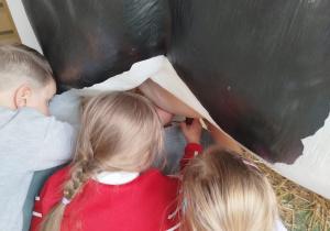 „Nauka przez zabawę – od pola do stołu” – zajęcia edukacyjne w CH FERIO – grupa XII