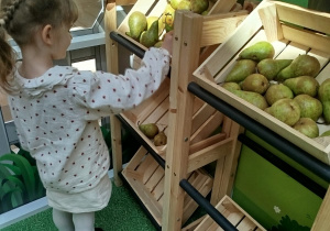 „Nauka przez zabawę – od pola do stołu” – zajęcia edukacyjne w CH FERIO – grupa XII