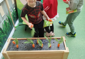 „Nauka przez zabawę – od pola do stołu” – zajęcia edukacyjne w CH FERIO – grupa XII