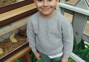 „Nauka przez zabawę – od pola do stołu” – zajęcia edukacyjne w CH FERIO – grupa XII