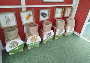 „Nauka przez zabawę – od pola do stołu” – zajęcia edukacyjne w CH FERIO – grupa XII