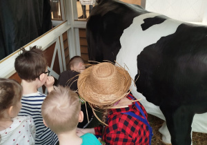 „Nauka przez zabawę – od pola do stołu” – zajęcia edukacyjne w CH FERIO – grupa XII