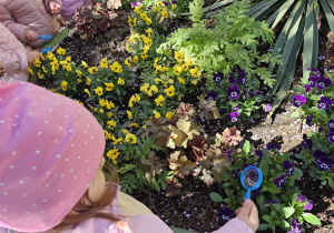 Dzień Ziemi – mali ekolodzy w akcji – grupa I