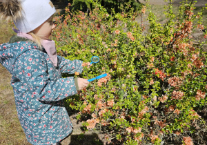 Dzień Ziemi – mali ekolodzy w akcji – grupa I