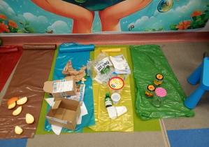 Dzień Ziemi w grupie IX