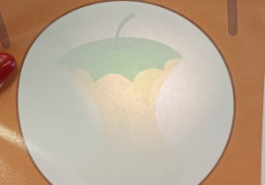 Dzień Ziemi w grupie IX