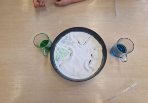 MISJA – CZYSTA PLANETA, ZDROWA PLANETA – projekt edukacyjny w grupie X