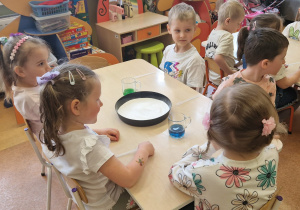 MISJA – CZYSTA PLANETA, ZDROWA PLANETA – projekt edukacyjny w grupie X