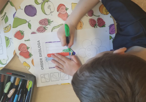 MISJA – CZYSTA PLANETA, ZDROWA PLANETA – projekt edukacyjny w grupie X