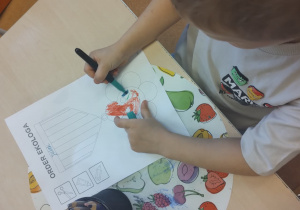 MISJA – CZYSTA PLANETA, ZDROWA PLANETA – projekt edukacyjny w grupie X