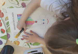 MISJA – CZYSTA PLANETA, ZDROWA PLANETA – projekt edukacyjny w grupie X