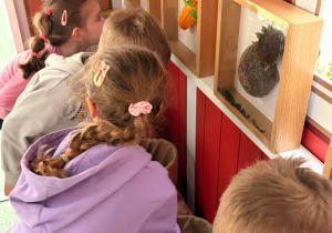 Z wizytą na EKO FARMIE - gr. XI