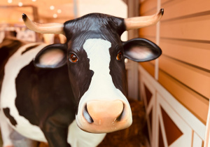 Z wizytą na EKO FARMIE - gr. XI