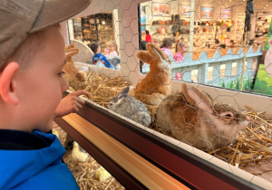 Z wizytą na EKO FARMIE - gr. XI