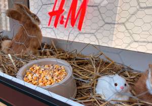 Z wizytą na EKO FARMIE - gr. XI