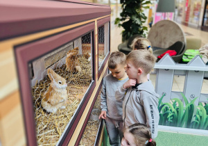 Z wizytą na EKO FARMIE - gr. XI