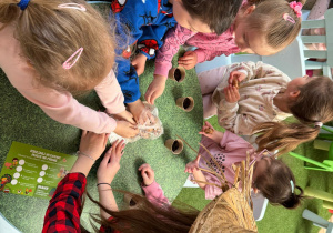 Z wizytą na EKO FARMIE - gr. XI