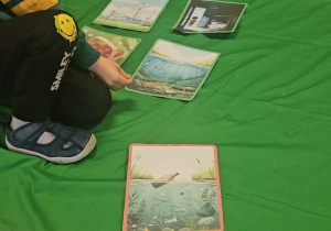 „Dbamy o Ziemię każdego dnia”