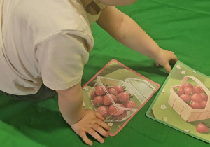 „Dbamy o Ziemię każdego dnia”