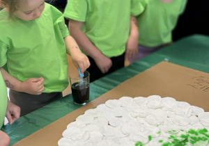 „Dbamy o Ziemię każdego dnia”