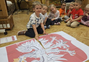 Polskie symbole narodowe- grVII