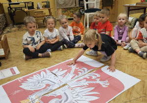Polskie symbole narodowe- grVII