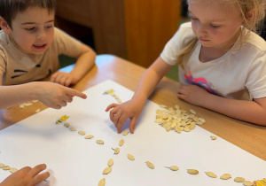 Misja Łąki i Pola w grupie III