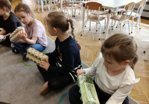 „Skąd się biorą produkty ekologiczne?” – ogólnopolski program edukacyjny dla przedszkoli w grupie IV