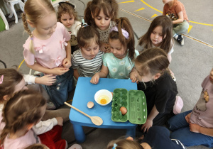 „Skąd się biorą produkty ekologiczne?” – ogólnopolski program edukacyjny dla przedszkoli w grupie IV