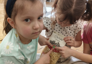 „Skąd się biorą produkty ekologiczne?” – ogólnopolski program edukacyjny dla przedszkoli w grupie IV