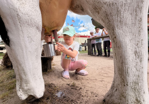Przygoda na Dzikim Zachodzie - Westerland gr. XI