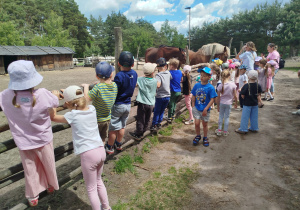 Przygoda na Dziki Zachodzie – Westernland gr. XII